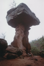 Pf�lzer Wald - Teufelstisch