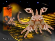 Handviren -  (c) by Roland K. Mettel