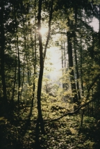 S�d-Eifel   -   Oktober