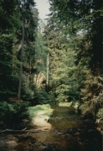 Kirnitsch  -  S�chsiche Schweiz